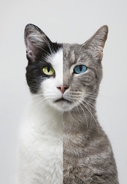 Ваня Пригарин | 