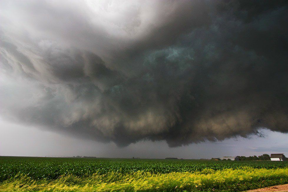 Чёрная Борода | Victoria