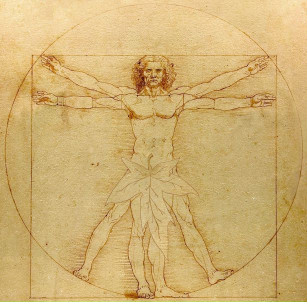 №155, Сергей Лупач, Витебск №155, Сергей Лупач, Витебск