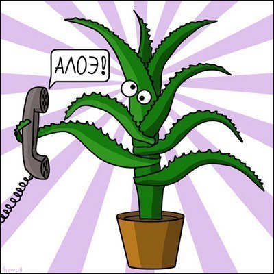 Natalia Latte | Москва