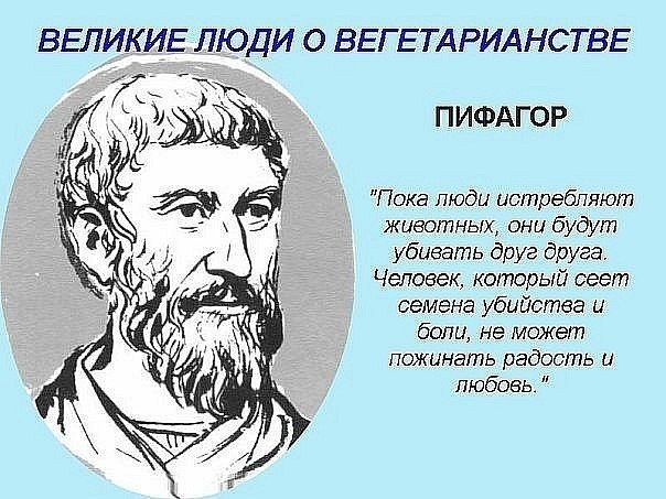 Олеся Мартынова | Энгельс