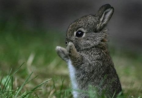 Максим Галкин | Обнинск