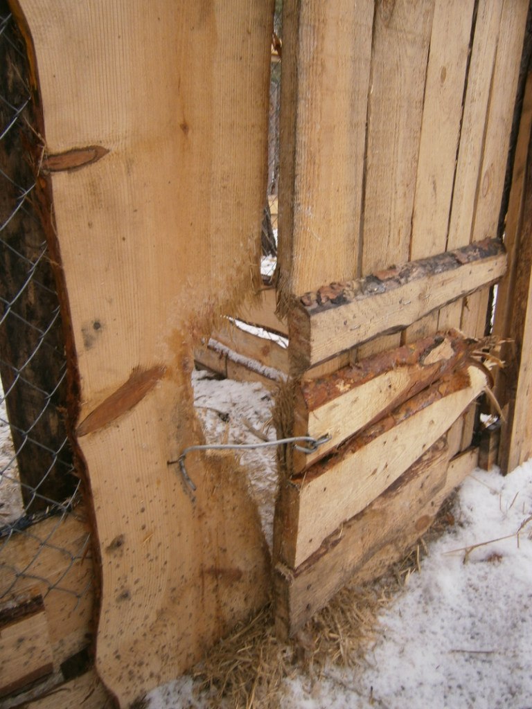 Олександр Брижко | Киев