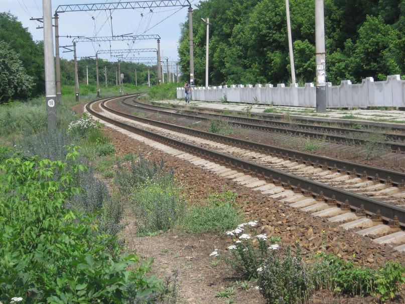 Константин Русанов | Сыктывкар