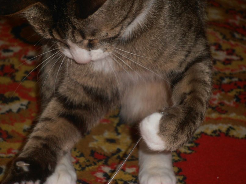 Эльвира Ганиуллина | Казань