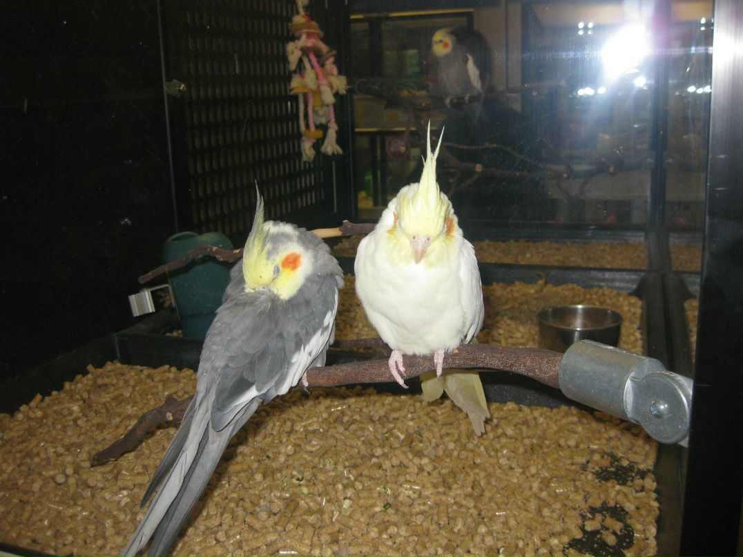 Альонка Марчук | 