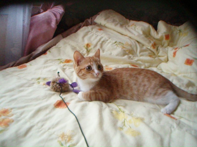 Елена Леонова | Москва