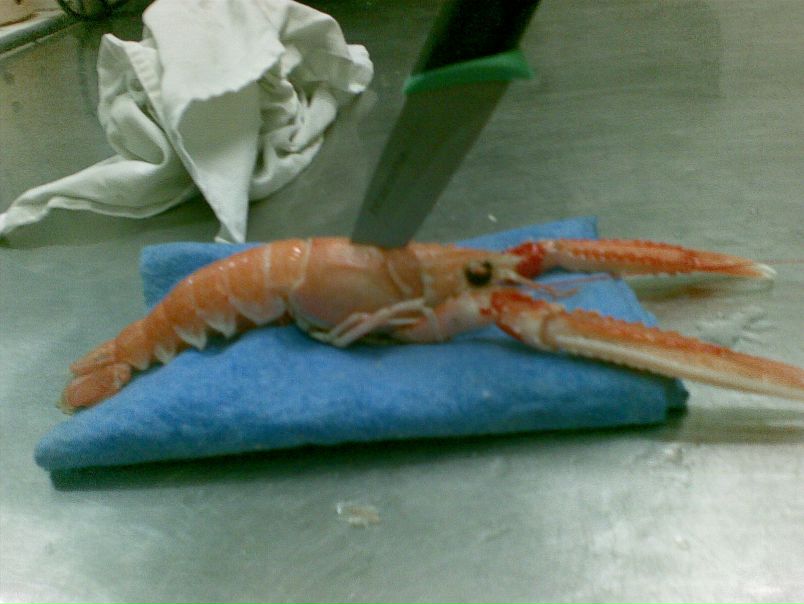 №68, Саша Завальнюк, 37 лет, Киев №68, Саша Завальнюк, 37 лет, Киев