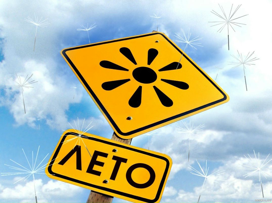 Виталий Мясо | Москва