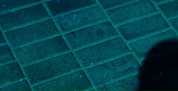 Игорь Волков фото профиля #1