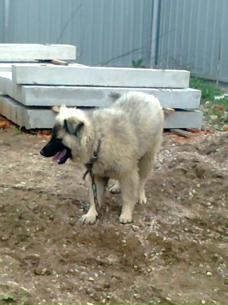 №3, Рашид Салихов №3, Рашид Салихов