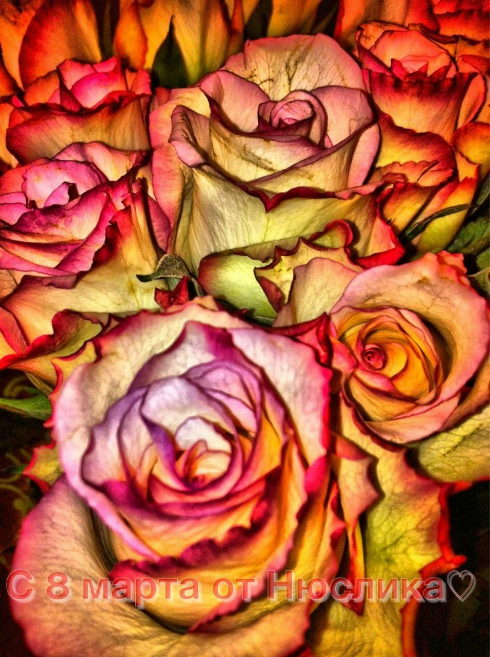 Надежда Калимова | Киев