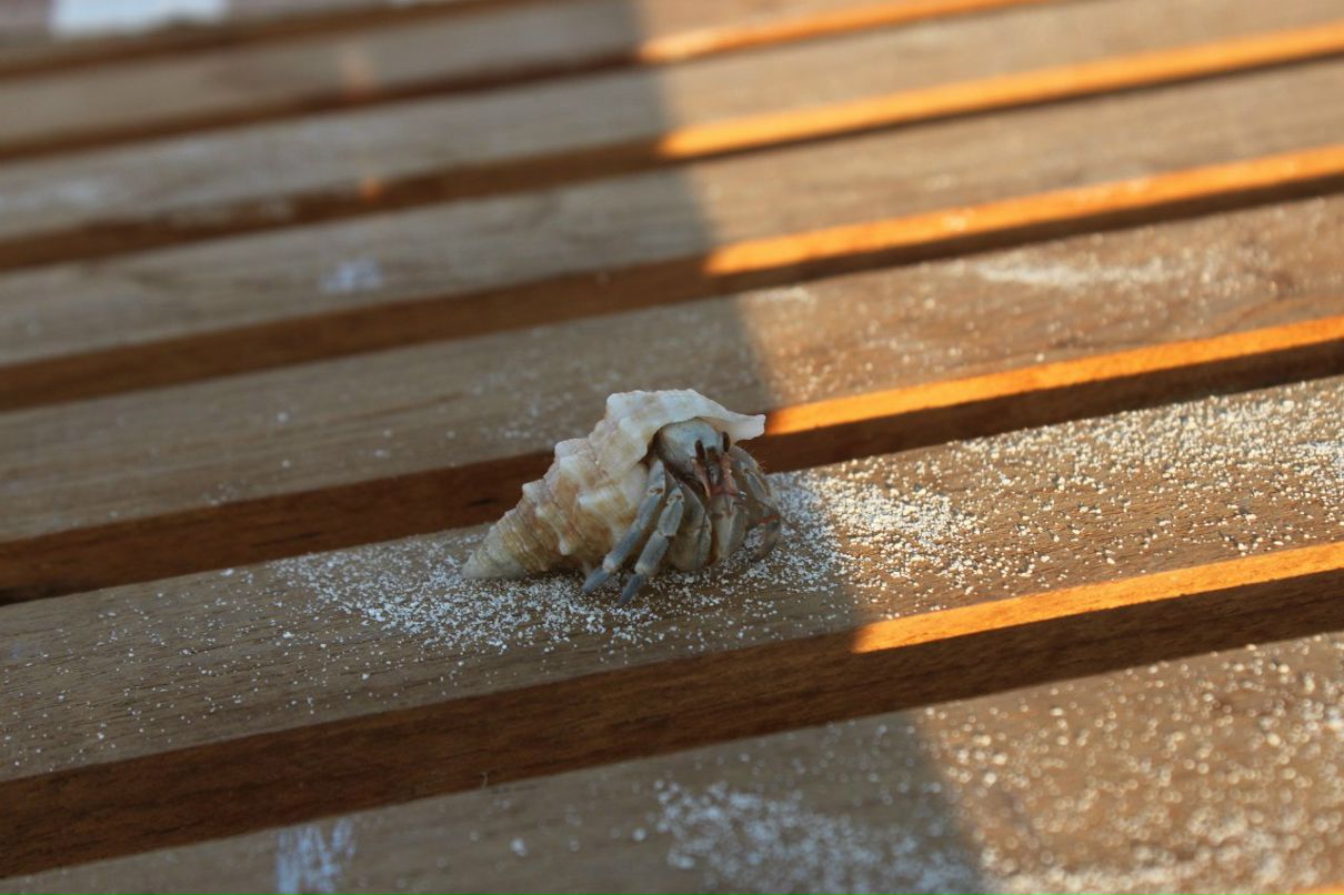 Настя Мусийчук | Алматы