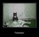 Фотография Юлия Тимошенко