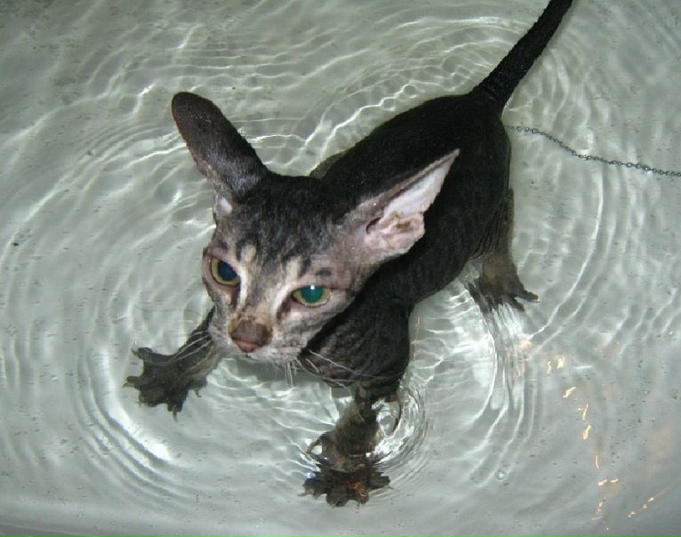 №28, Ксения Яранцева, 35 лет, Нижний Новгород №28, Ксения Яранцева, 35 лет, Нижний Новгород