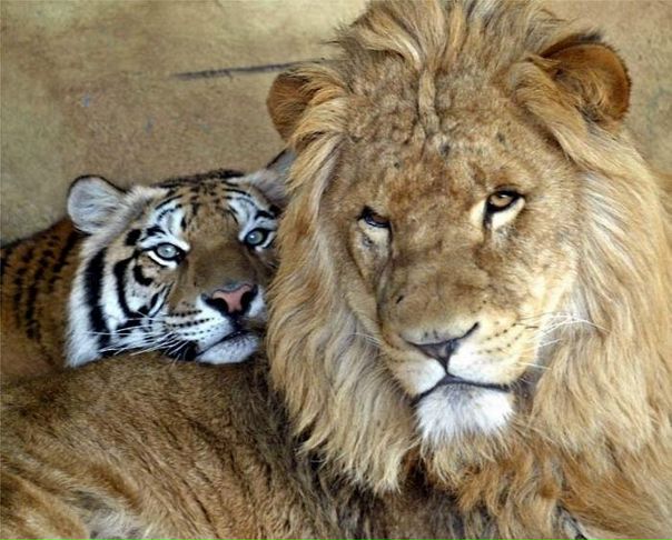 №38, Аня Борисевич, 38 лет, Гродно №38, Аня Борисевич, 38 лет, Гродно