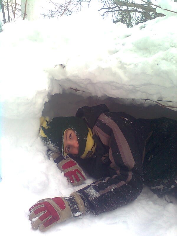 Роман Чернов | Журавки