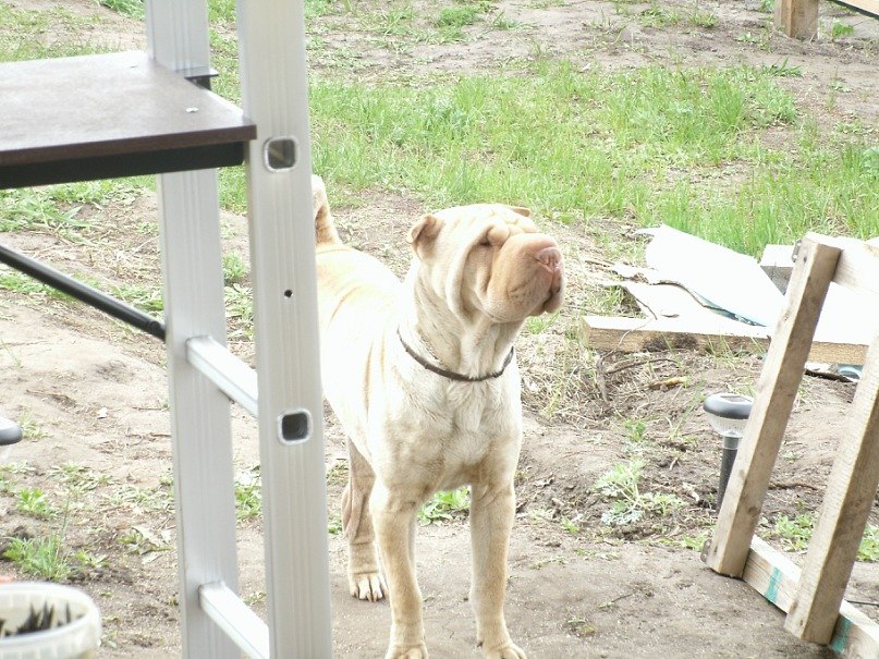 Дмитрий Фомин | Самара