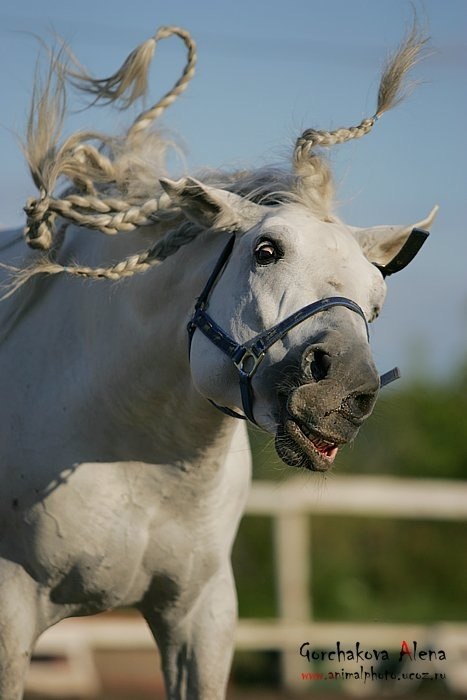Наталия Прохода | Санкт-Петербург