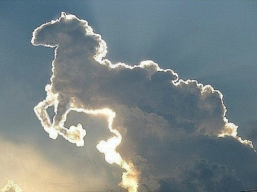 Александр Вершеловский | Смоленск