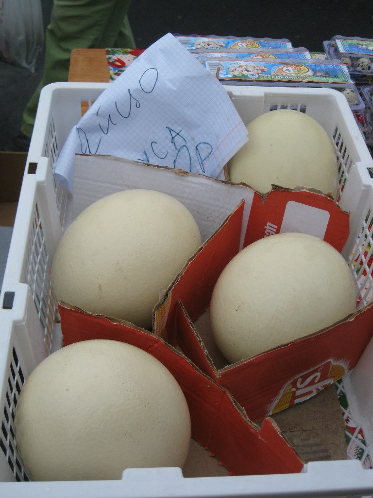 Ольга Кузнеченкова | 