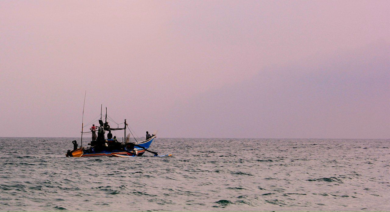 Елена Платонова | 