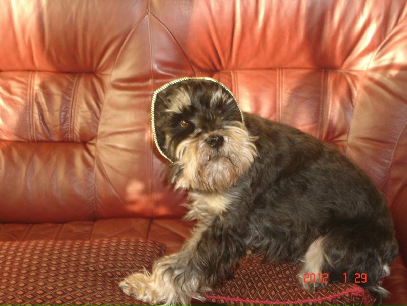 №126, Александр Коржанов, 37 лет, Рига №126, Александр Коржанов, 37 лет, Рига