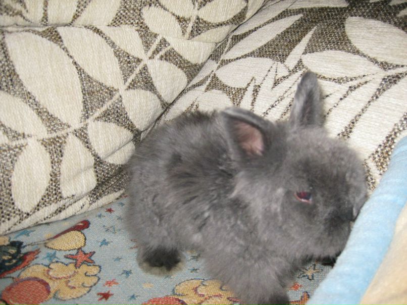 Юлия Пуякина | Москва