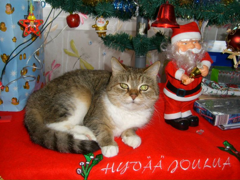 Татьяна Повилайнен | 