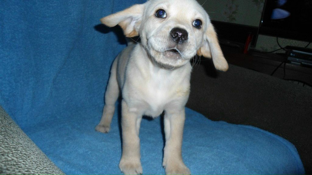 Виктор Бормотов | Киев