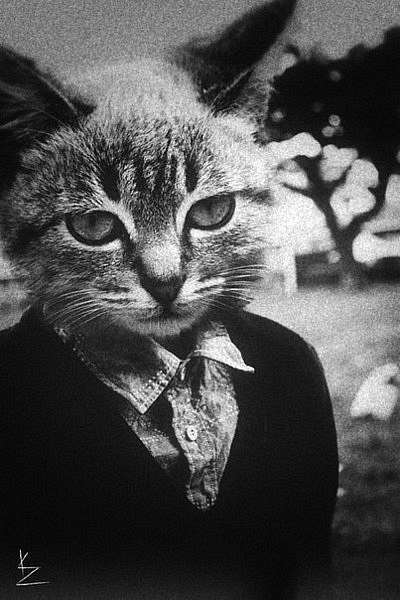 Александр Исаков | Курск