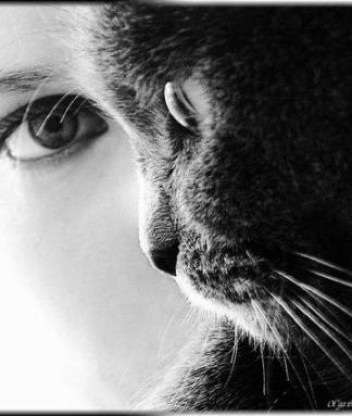 №88, Елена Вахрушева, 38 лет, Вологда №88, Елена Вахрушева, 38 лет, Вологда