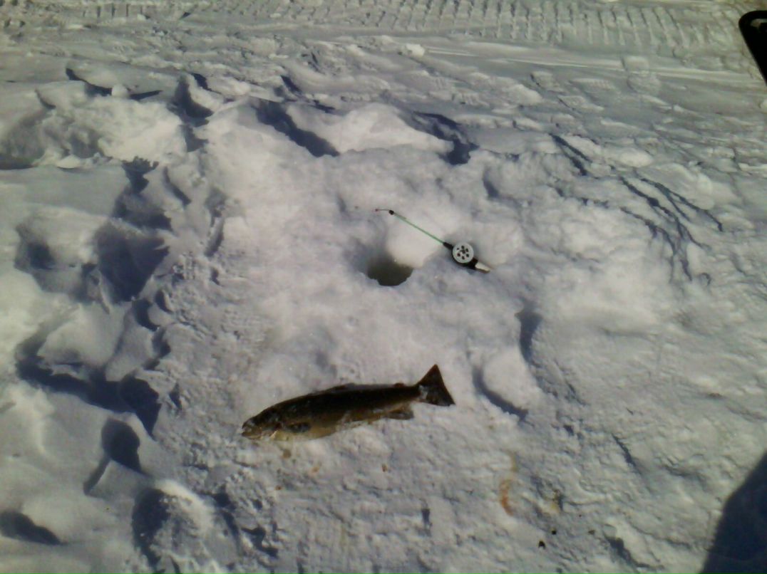 Юрий Березин | Умба