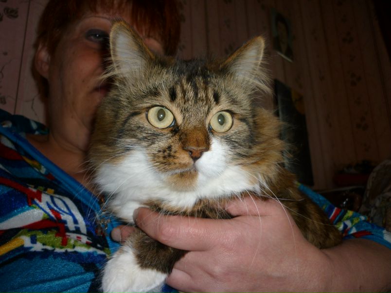 №16, Сергей Денисов №16, Сергей Денисов