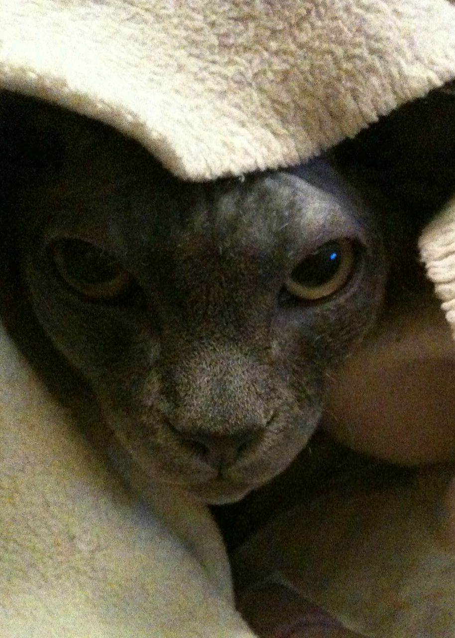 Миша Слесь | Москва