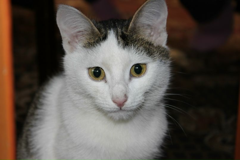 Римма Эльфариевна | Уфа