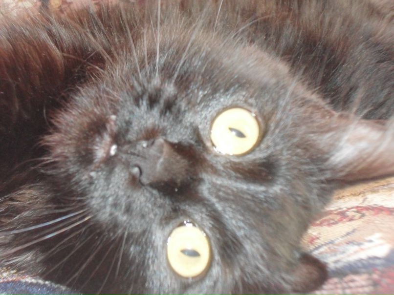 Жанна Москаленко | Вольногорск