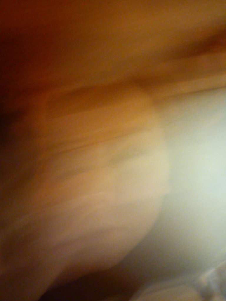 Светкинс Ким | Санкт-Петербург