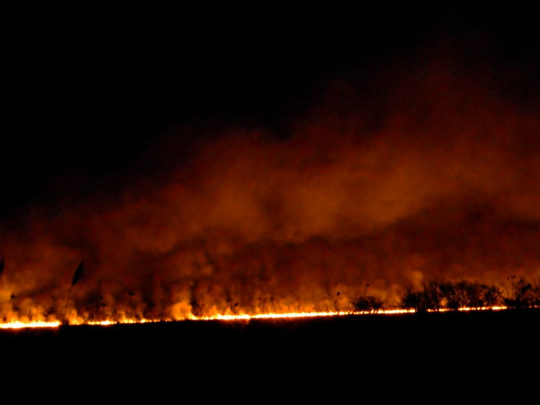 Ірина Гірка | Киев