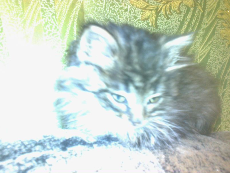 №26, Людмила Ермакова, 36 лет, Калининград №26, Людмила Ермакова, 36 лет, Калининград