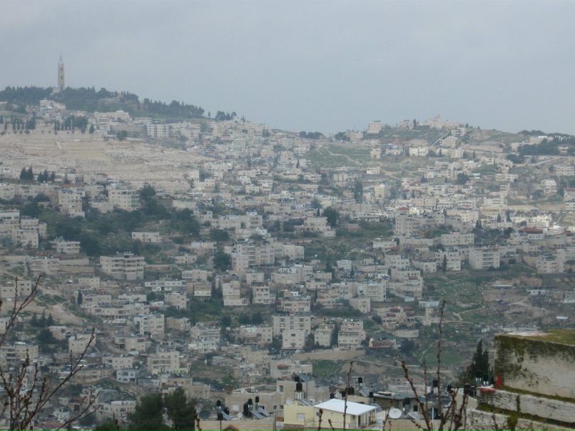 Татьяна Шанина | Санкт-Петербург