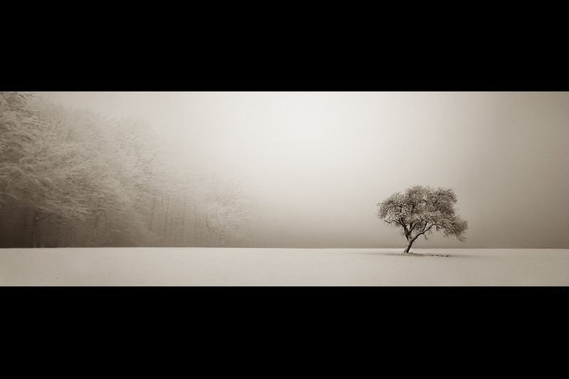 Денис Растегаев | Нижний Архыз