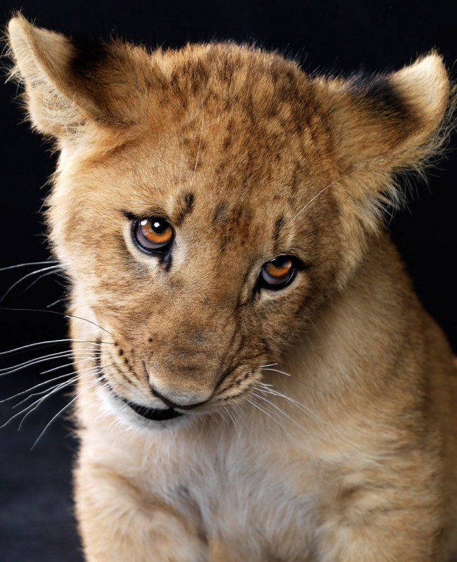 Ирина Иришкина | Воронеж