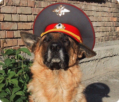 №10, Булат Ахмадиев №10, Булат Ахмадиев