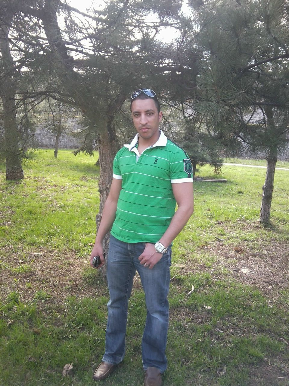 Билл Шехаде | Киев