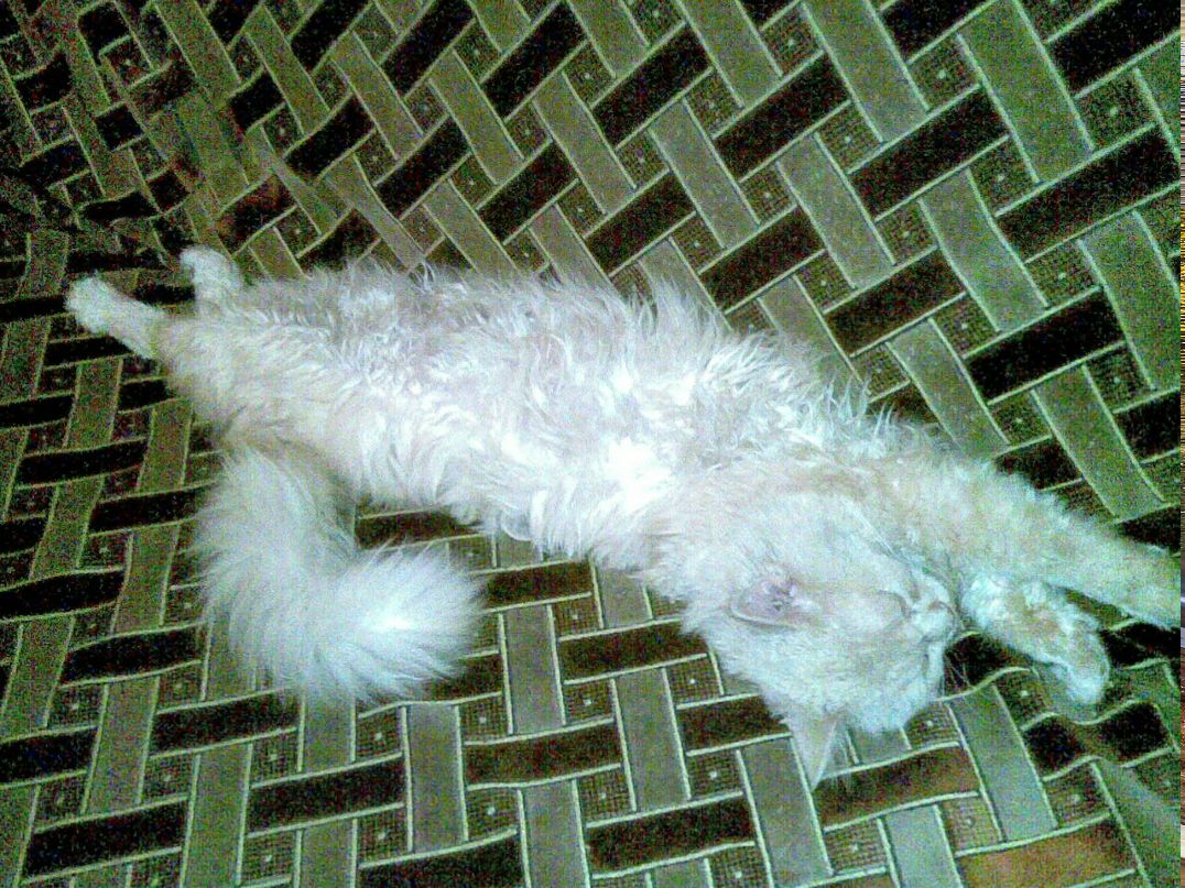 Леонид Сапожков Анатольевич | Осинники