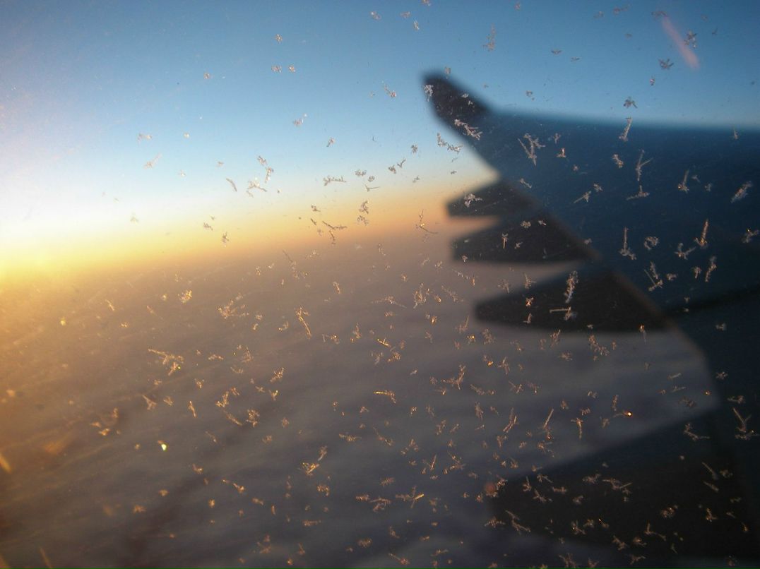 Светлана Кудряшова | Валдай