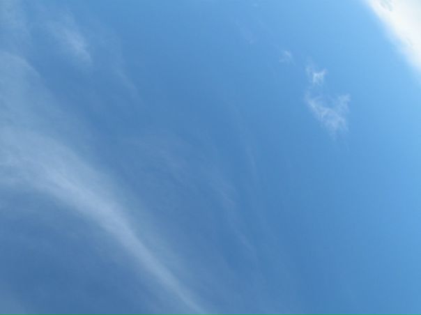 №118, Илья Мелехов, 29 лет, Волгоград №118, Илья Мелехов, 29 лет, Волгоград