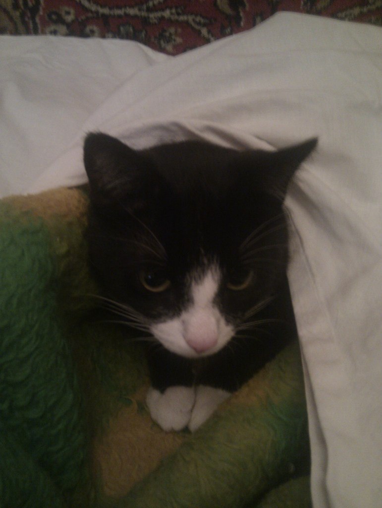 Александр Гончаров | Москва