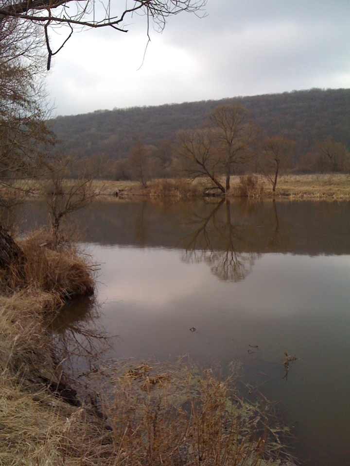 Vladimir Manko | Харьков